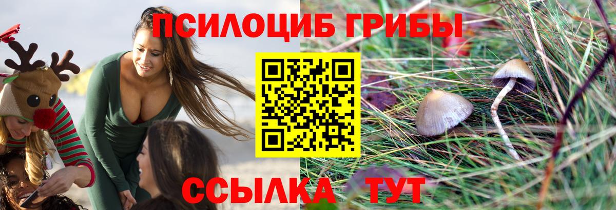 Галлюциногенные грибы MAGIC MUSHROOMS  где можно купить   Лабинск  Вход с VPN 